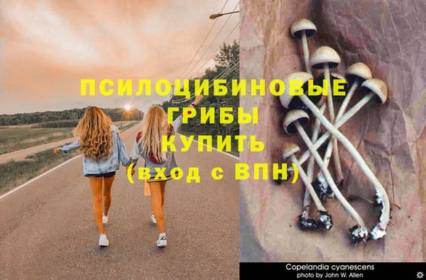 spice Абинск
