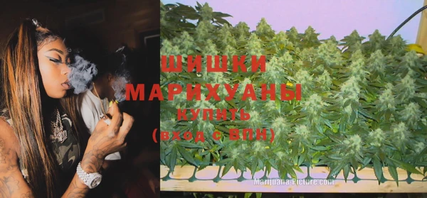 молекула духа Лагань