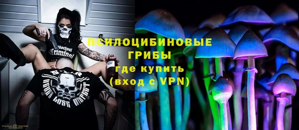 spice Абинск